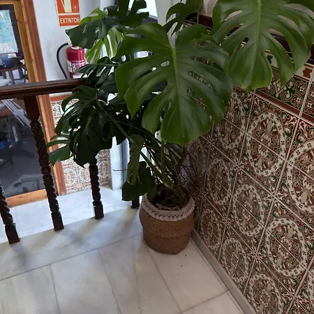 Casa de hóspedes La Brisa De Tarik 2*